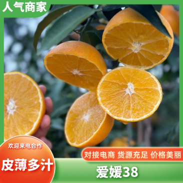 爱媛橙四川脐橙产地一手货源，大量现货可视频看货