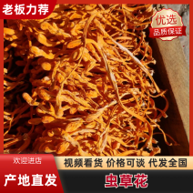 礼盒小包装虫草花，孢子头大颜色均匀，无硫黄熏。