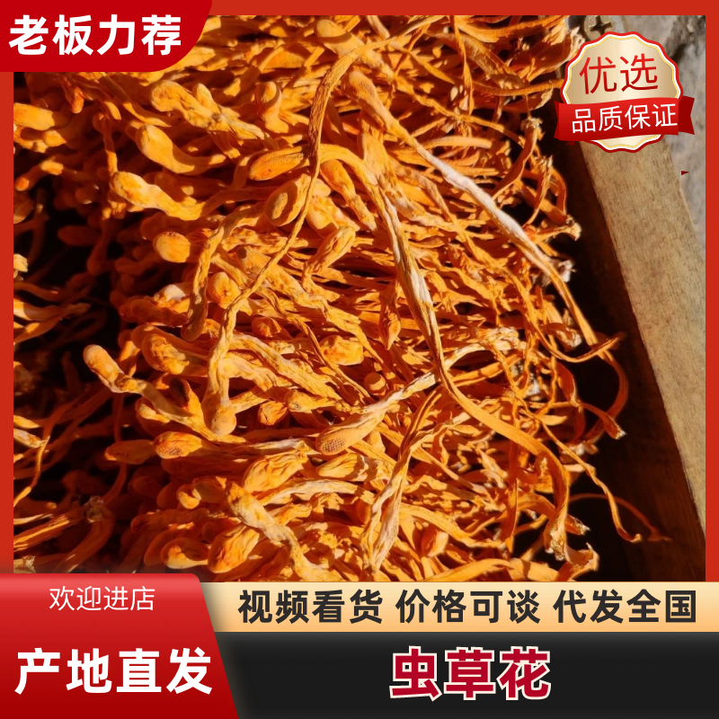 礼盒小包装虫草花，孢子头大颜色均匀，无硫黄熏。