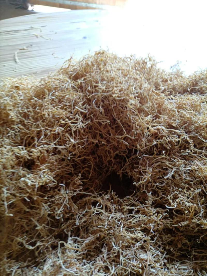 精品笋丝笋干现货先发对接全国各大平台欢迎咨询