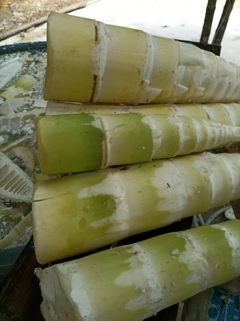 精品酸笋螺蛳粉专用现货先发对接全国量大从优