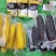 【样品冷冻玉米】包邮样品5根装各种规格好吃不贵欢迎下单