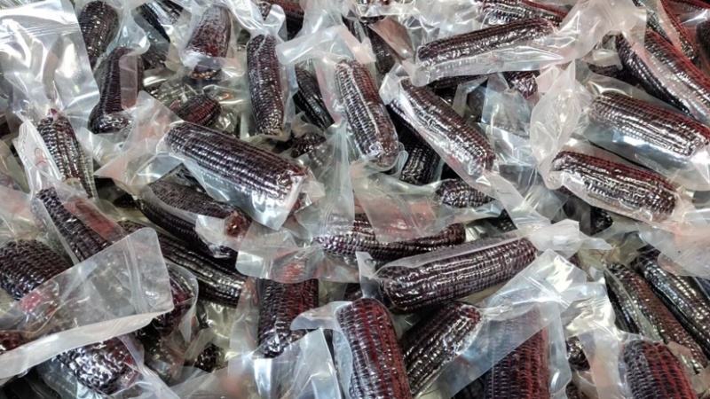 【样品冷冻玉米】包邮样品5根装各种规格好吃不贵欢迎下单