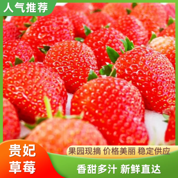 【推荐】商丘贵妃奶油草莓基地货源充足规格齐全现摘现发