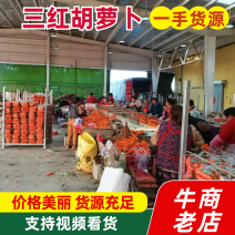 胡萝卜三红胡萝卜专做原产地头供货大单订购