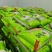 曹妃甸盐稻大米,省重点龙头企业,长年供货,质量保障