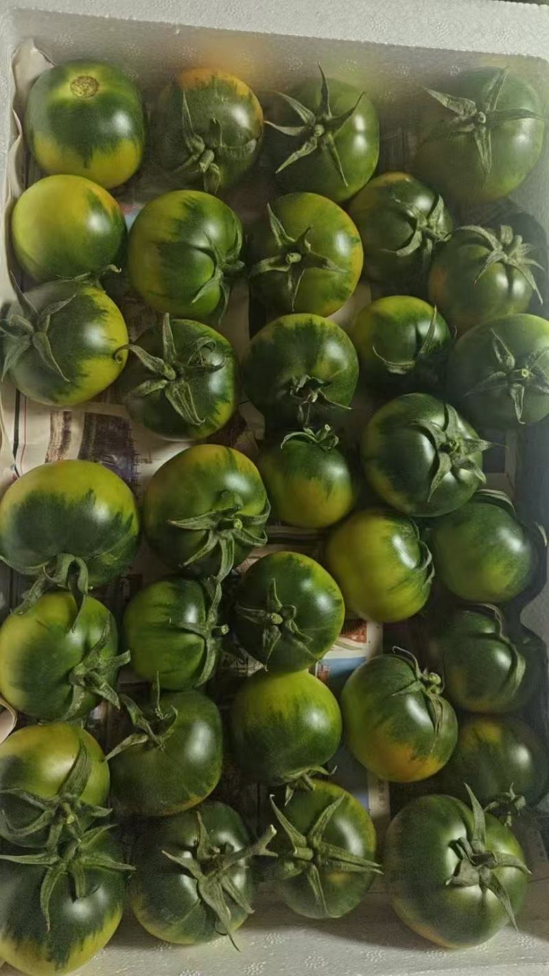 草莓柿子草莓西红柿酸甜可口产地一手货源量大从优