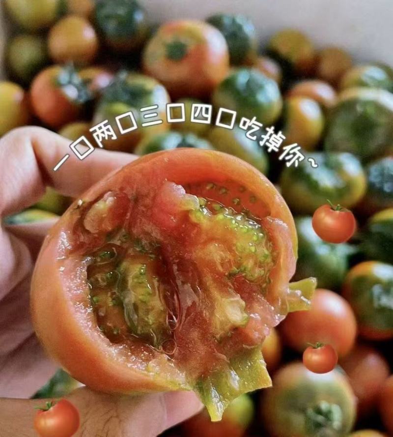 草莓柿子草莓西红柿酸甜可口产地一手货源量大从优