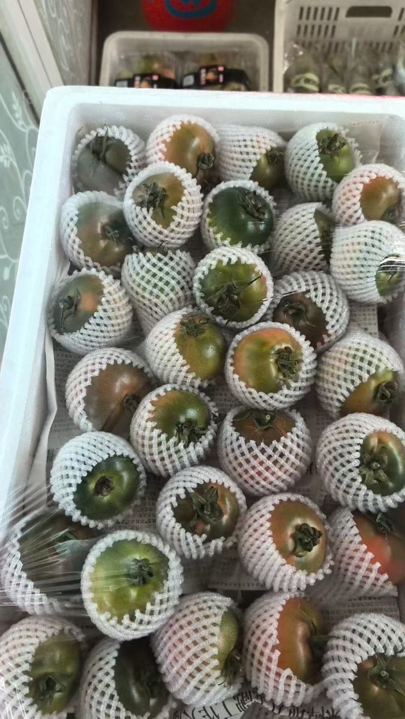 草莓柿子草莓西红柿酸甜可口产地一手货源量大从优