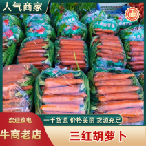 (产地直发)精品胡萝卜，万亩基地，电商市场，超市大量现货
