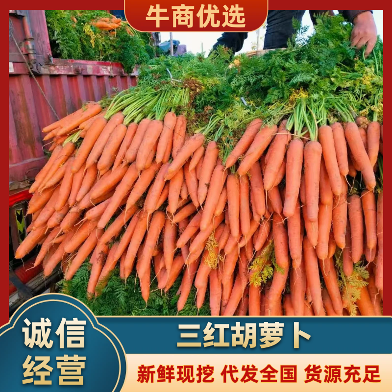 (精品胡萝卜)市场货，电商货，超市货，大量上市