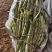 精品芸豆品质保证大量有货产地直发欢迎选购
