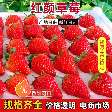 丹东红颜草莓九九草莓产地直发一手货源现摘现发