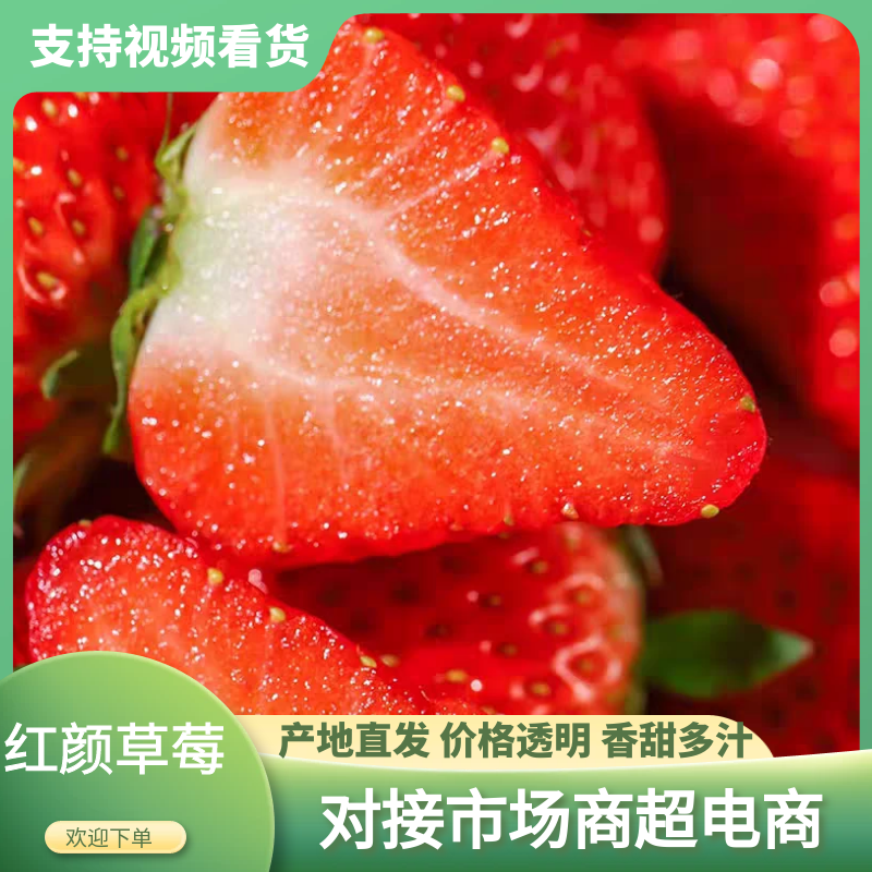 丹东草莓红颜草莓产地直发货源充足可视频看货欢迎下单