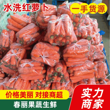 精品江苏三红胡萝卜一手货源按需包装可对接商超市场