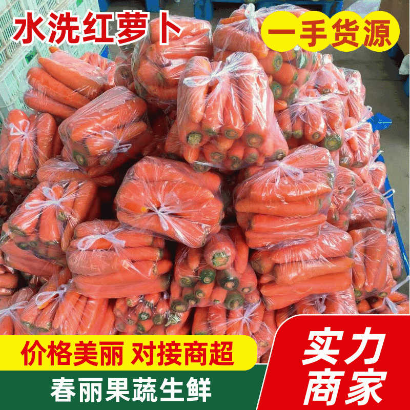 精品江苏三红胡萝卜一手货源按需包装可对接商超市场