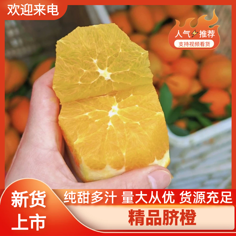 【脐橙】湖北脐橙基地直发果面干净口感纯甜无酸价格可谈