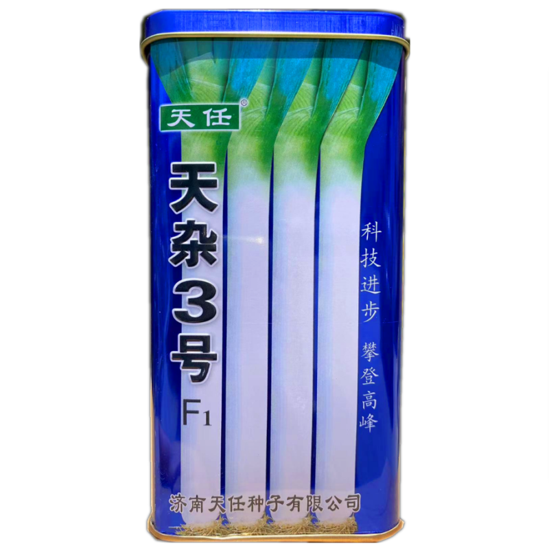 大葱种子高产天杂3号章丘铁杆大葱种子抗风抗病葱种子200