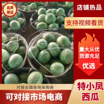有质量保证特小凤西瓜产地发货可视频挑选