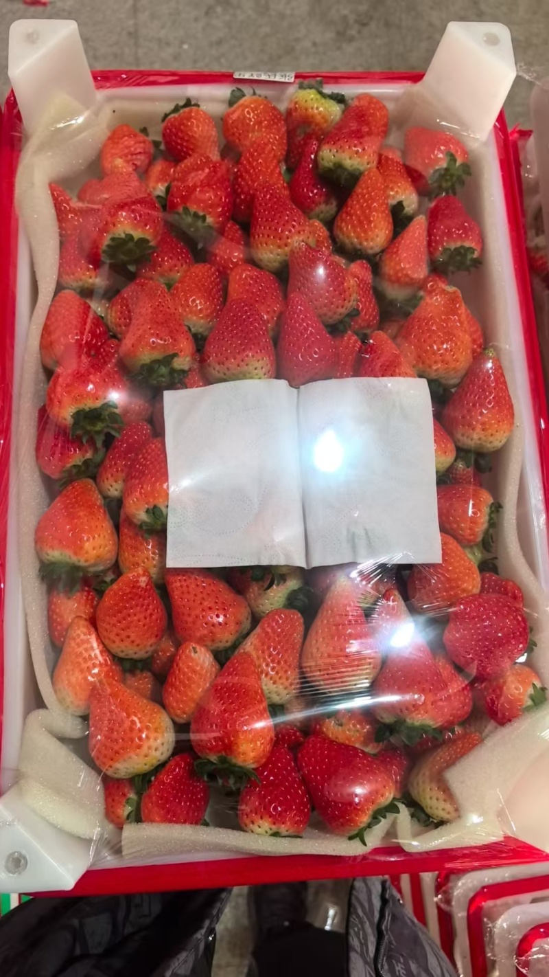 精品天仙醉草莓自家果园基地直发对接全国欢迎咨询
