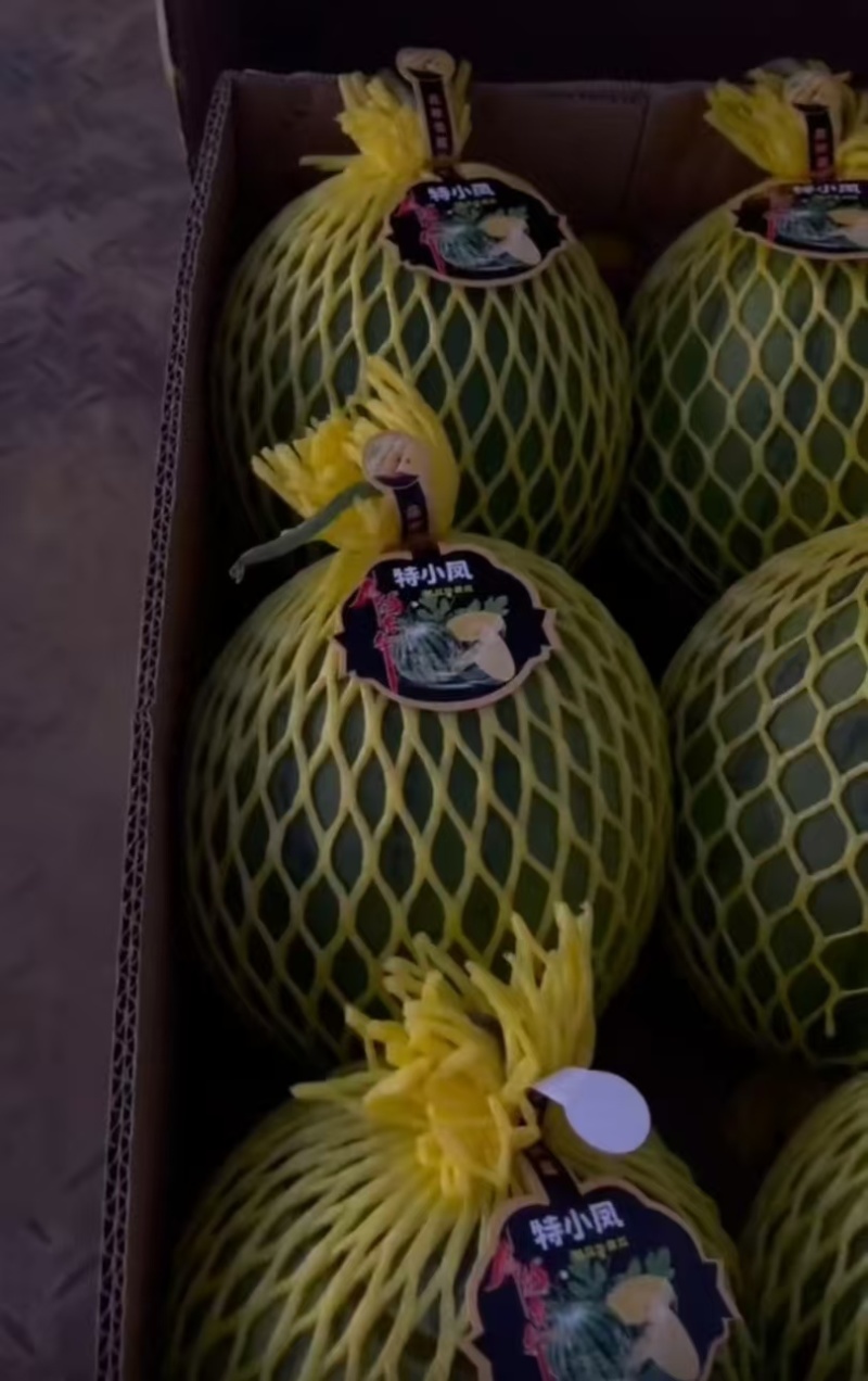 广东特小凤西瓜货源充足产地直供薄皮脆黄瓤欢迎联系