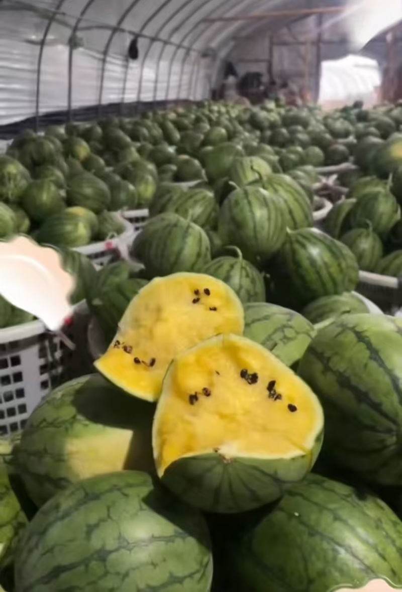 广东特小凤西瓜货源充足产地直供薄皮脆黄瓤欢迎联系