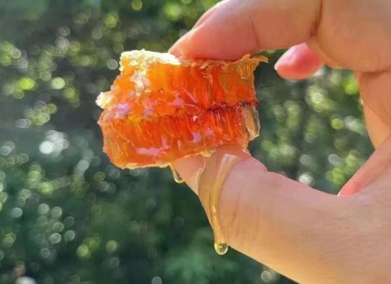 云南红河百花蜜，品质保证，量大从优，欢迎致电