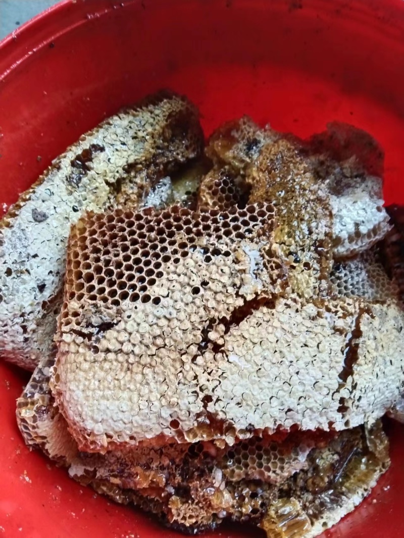 云南红河百花蜜，品质保证，量大从优，欢迎致电