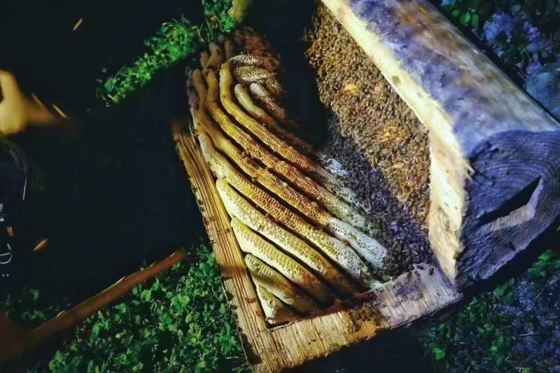 云南红河百花蜜，品质保证，量大从优，欢迎致电