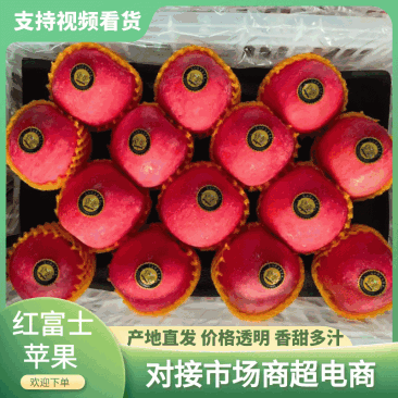 【红富士】沂源红富士条纹偏红果，产地冷库大量现货保质保量