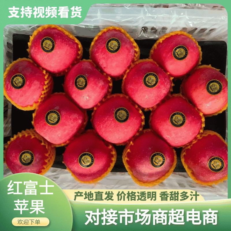 【红富士】沂源红富士条纹偏红果，产地冷库大量现货保质保量