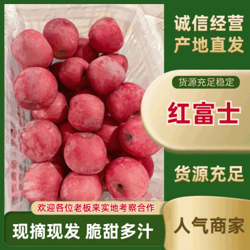 山东【红富士苹果】冷库大量，诚信经营代发代收代存大量供应