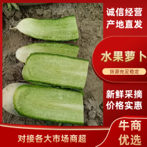 【牛商推荐】山东精品水果萝卜大量上市优质货品质保证