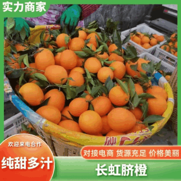 长虹脐橙纽荷尔九月红中华红/挂树鲜果果园直供坏果包赔