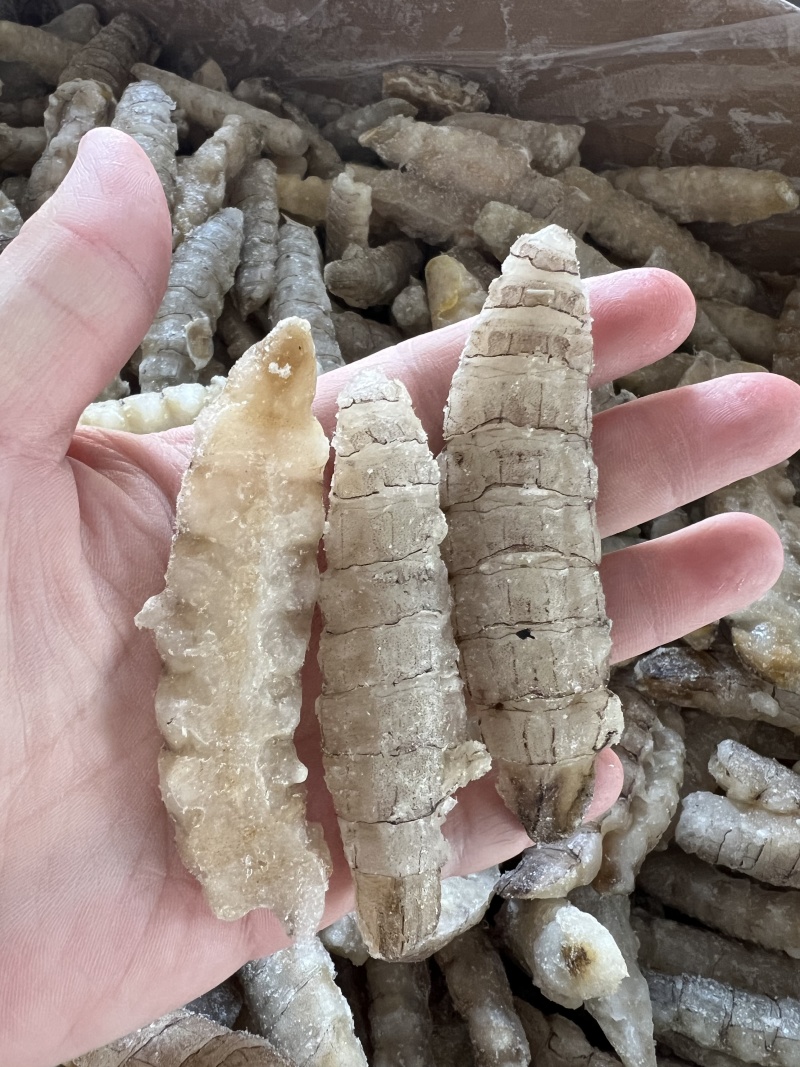 冰冻皮皮虾肉大量有货产地直发保障品质