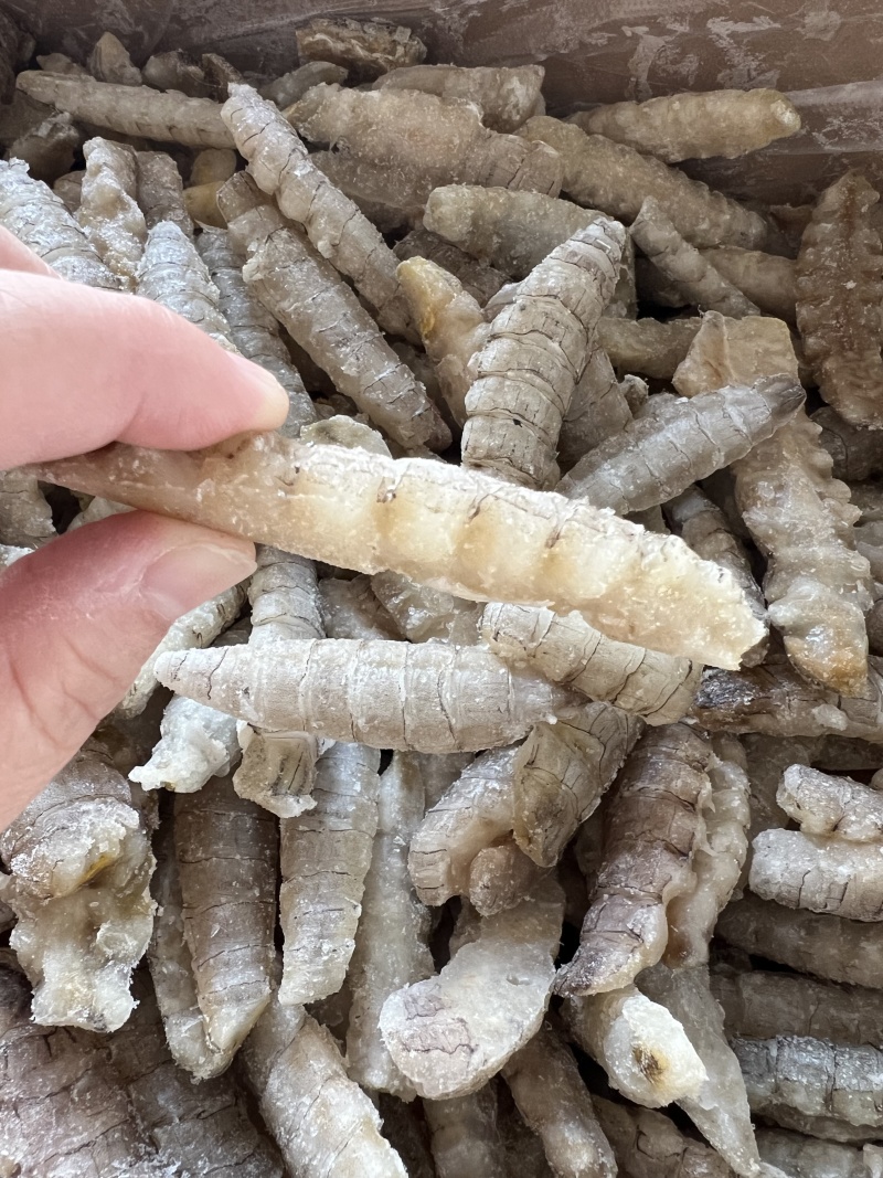 冰冻皮皮虾肉大量有货产地直发保障品质