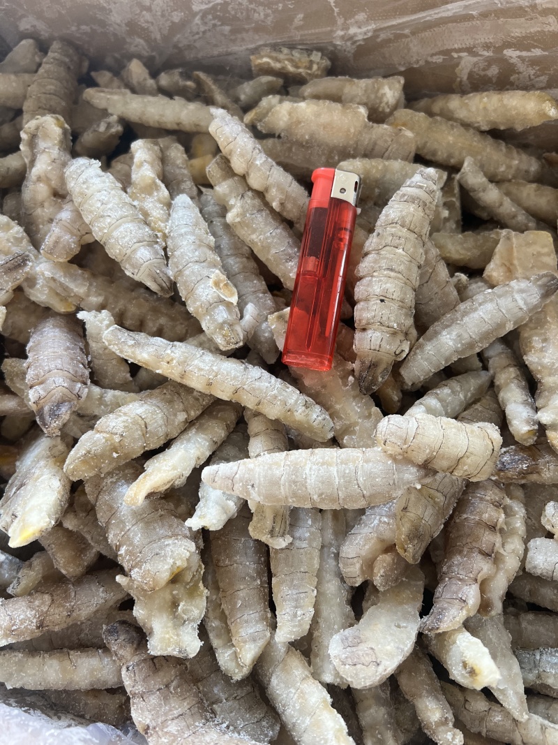 冰冻皮皮虾肉大量有货产地直发保障品质
