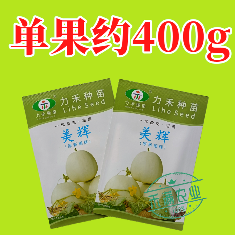 美辉甜瓜种子白皮白绿肉甜度高香味浓香香瓜种子口感细腻抗病