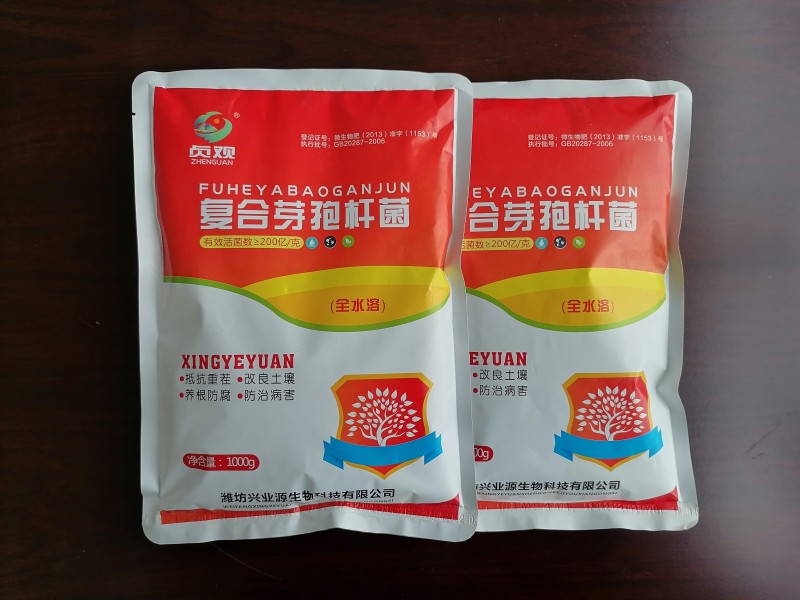 复合芽孢杆菌枯草芽孢杆菌地衣芽孢杆菌解淀粉芽孢杆