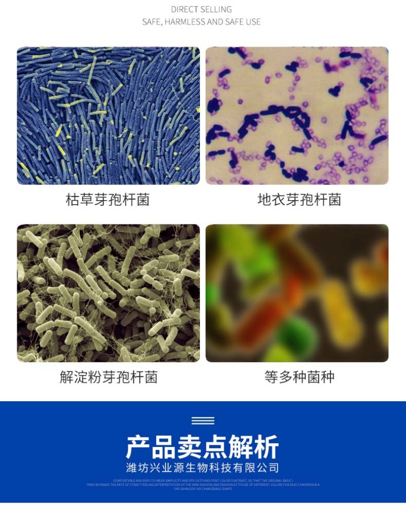复合芽孢杆菌枯草芽孢杆菌地衣芽孢杆菌解淀粉芽孢杆