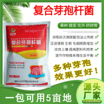 复合芽孢杆菌枯草芽孢杆菌地衣芽孢杆菌解淀粉芽孢杆