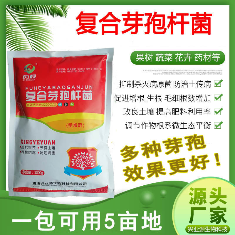 复合芽孢杆菌枯草芽孢杆菌地衣芽孢杆菌解淀粉芽孢杆