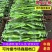 北海福成常乐大棚黄皮尖椒牛椒产地直发量大价优对接全国客商