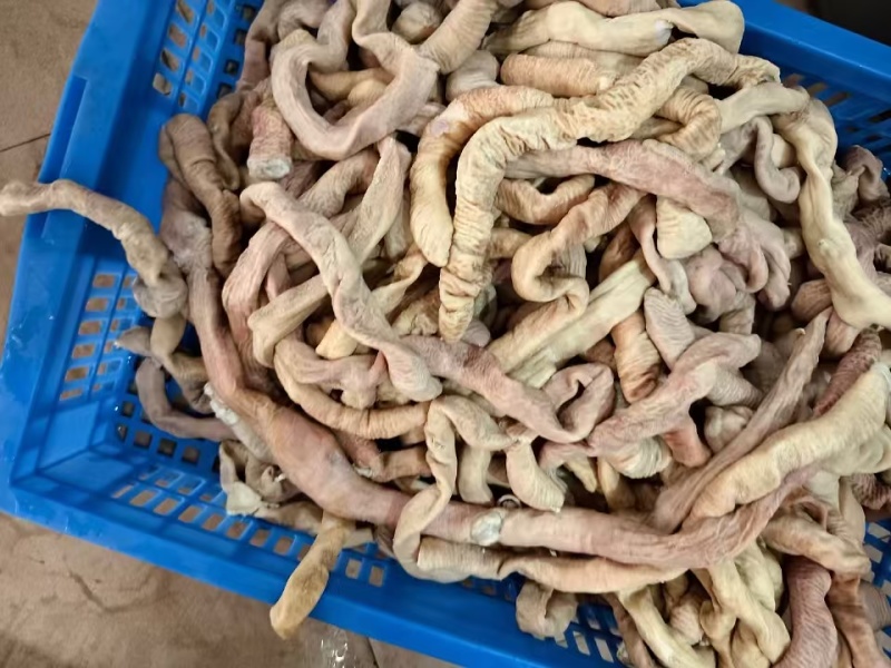 牛肠飞水小肠厂家直发品质保证量大从优可视频看货