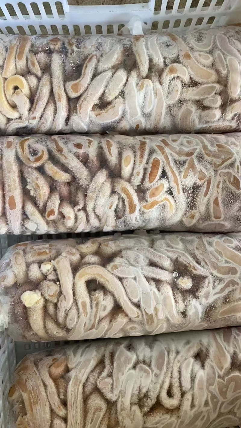 牛肠飞水小肠厂家直发品质保证量大从优可视频看货