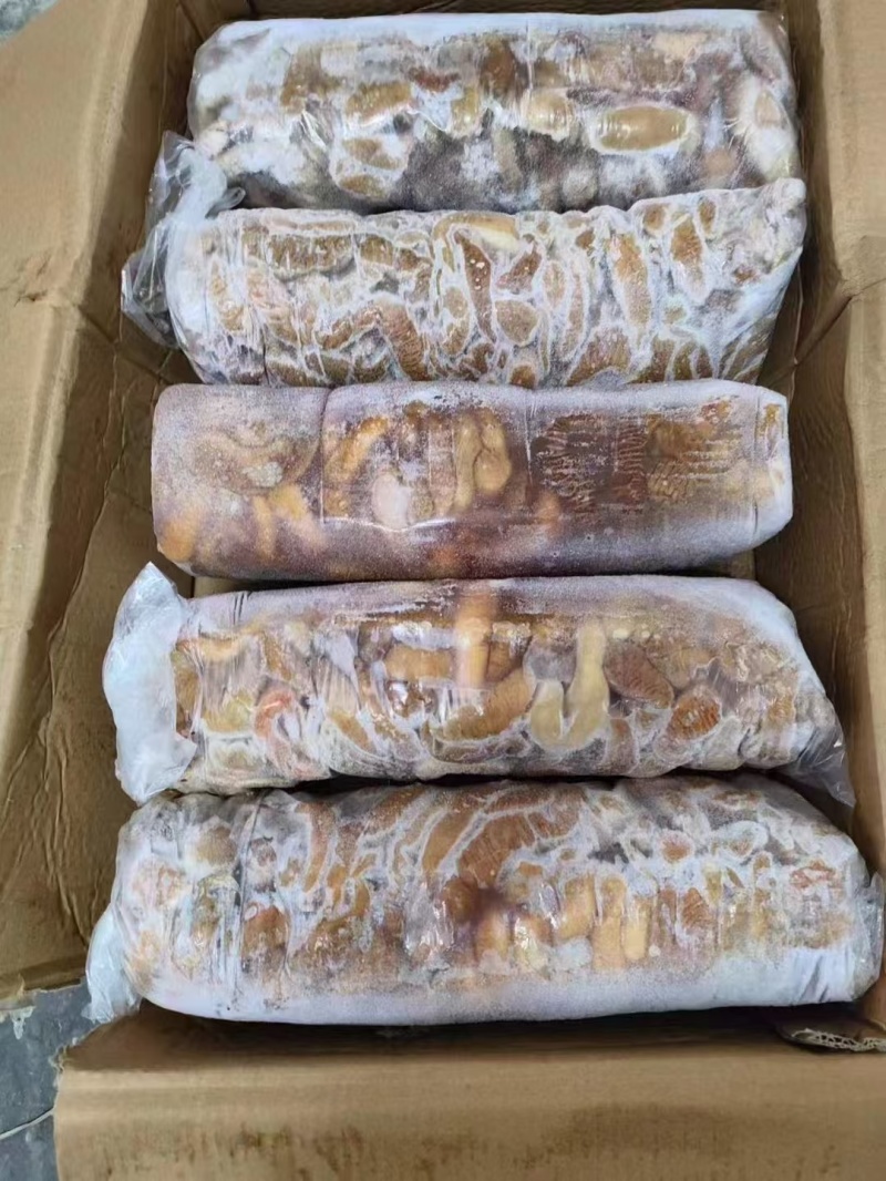 牛肠飞水小肠厂家直发品质保证量大从优可视频看货