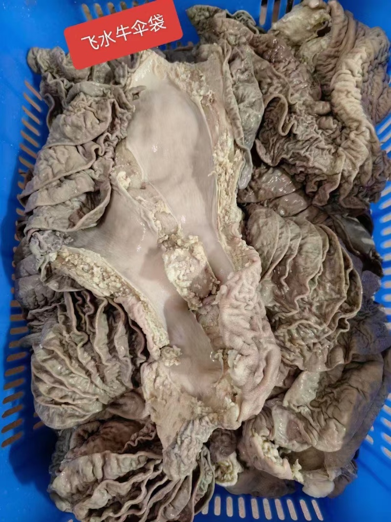 牛伞袋，牛沙瓜，牛散带，牛伞托，品质保证，量大从优