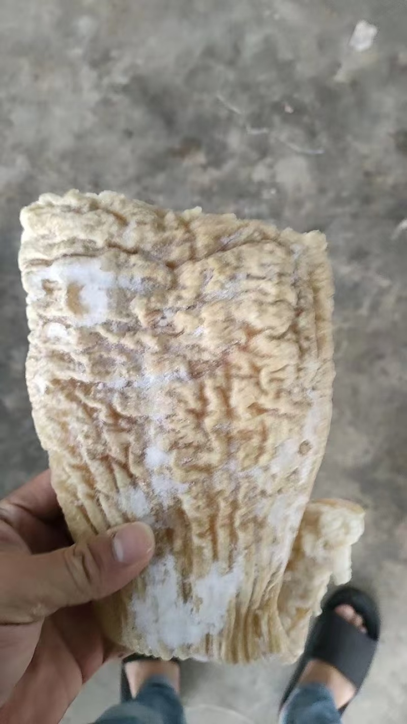 牛肠头大量供应，价格便宜，吨起聊价，可视频看货