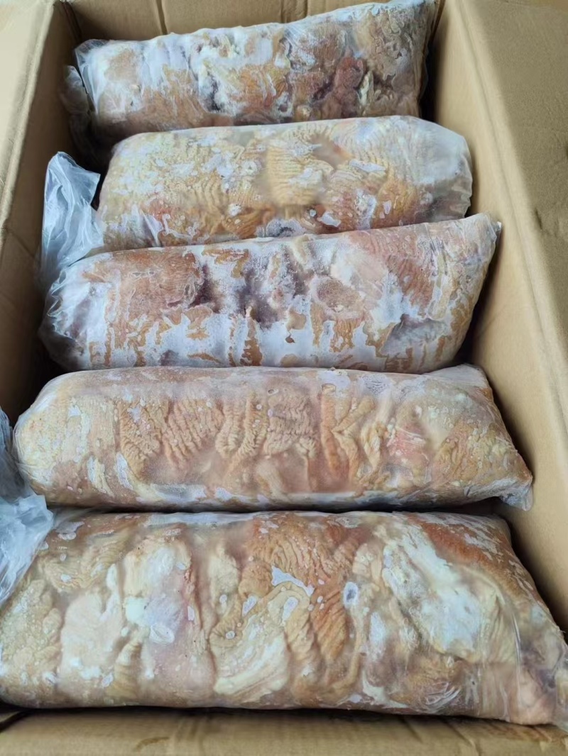 牛肠头大量供应，价格便宜，吨起聊价，可视频看货
