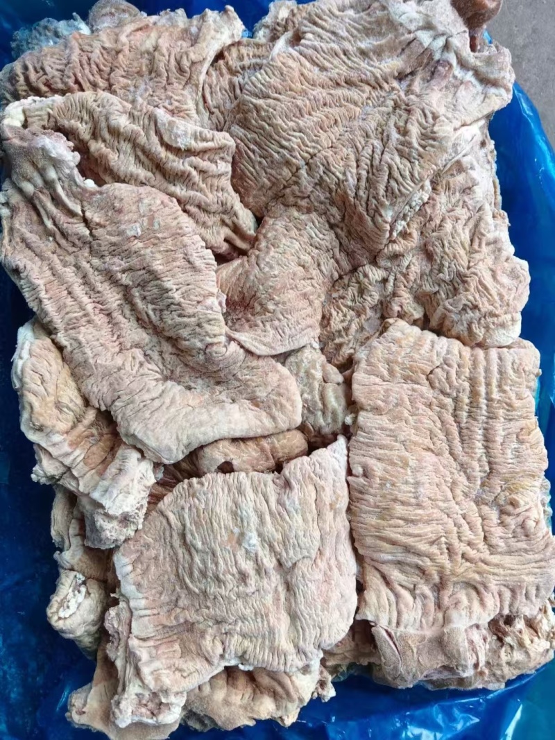 牛肠头大量供应，价格便宜，吨起聊价，可视频看货